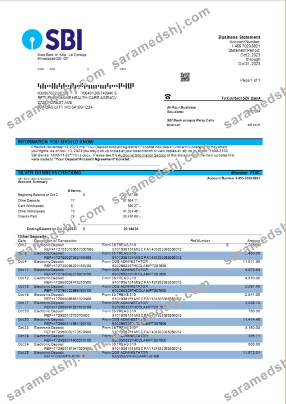 State Bank of India company account statement Word and PDF template